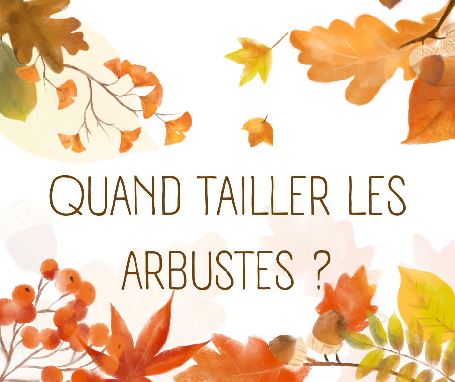 Quand tailler les arbustes ?