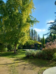 Chantier de création de massif et mise en place d'une pergola dans un parc arboré