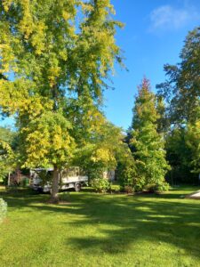 Chantier de création de massif et mise en place d'une pergola dans un parc arboré